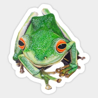 Tree frog Sticker